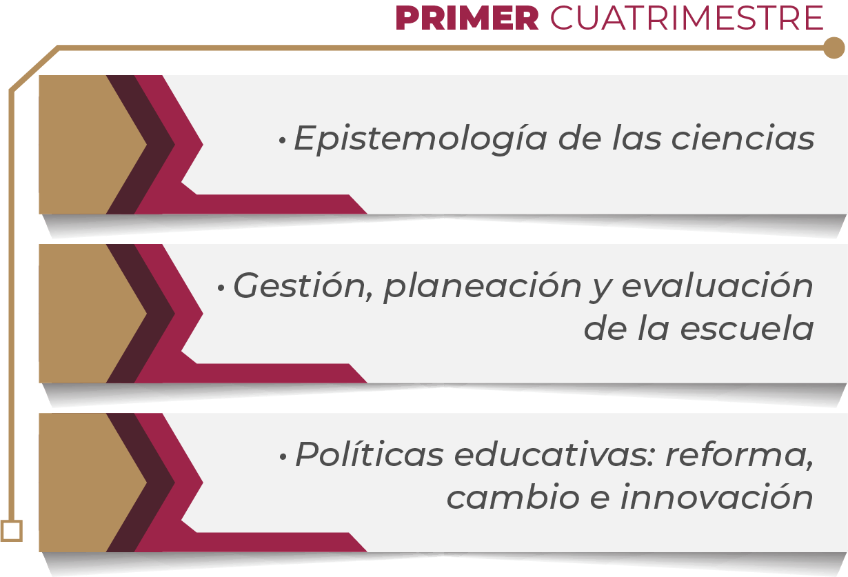 MAPA CURRICULAR GESTIÓN